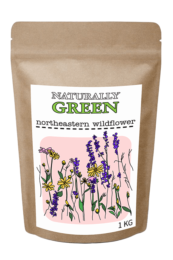 Northeastern Wildflower Mix